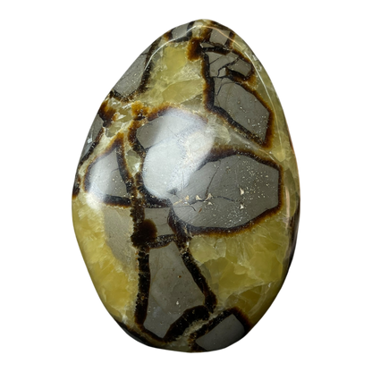 Septerian Agate
