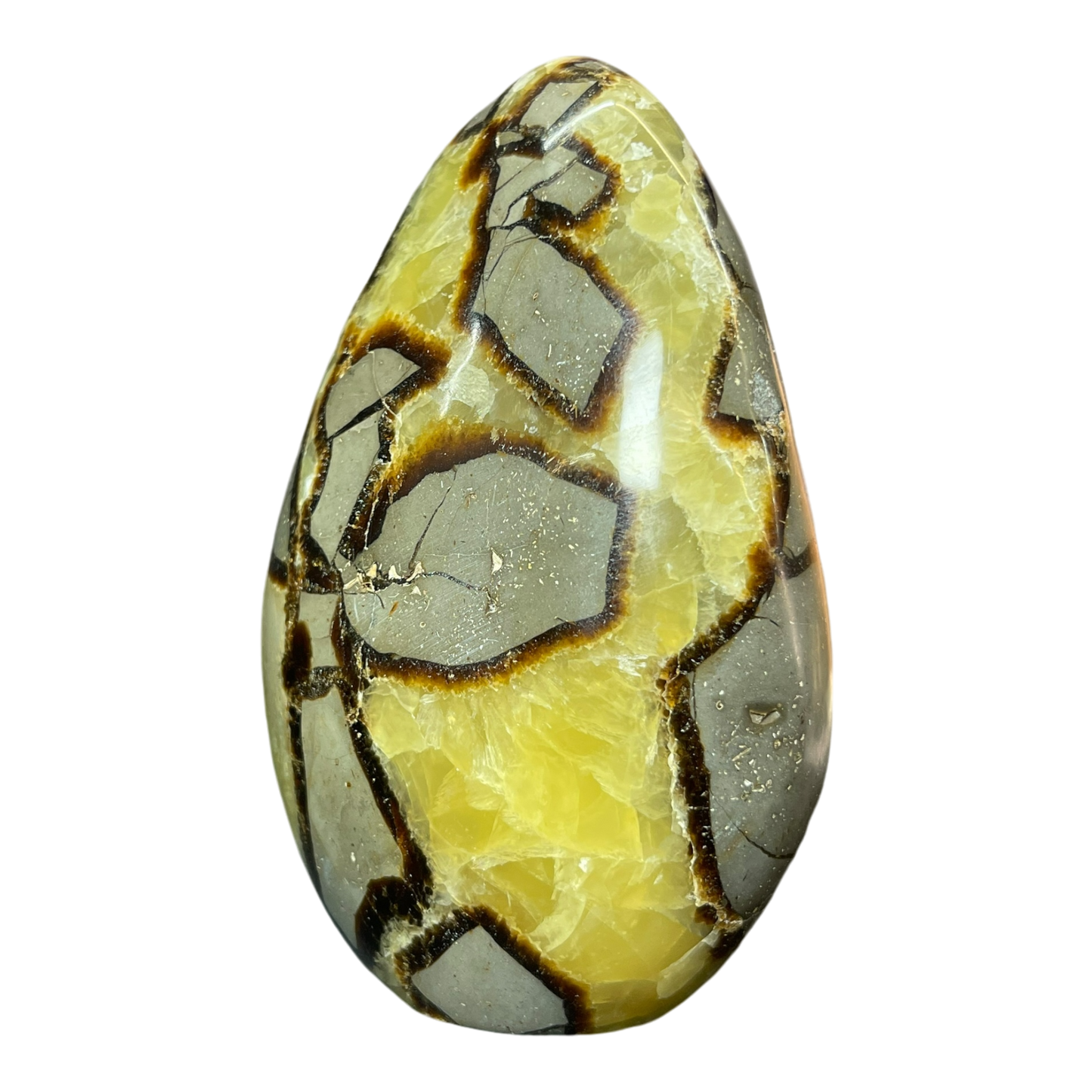 Septerian Agate