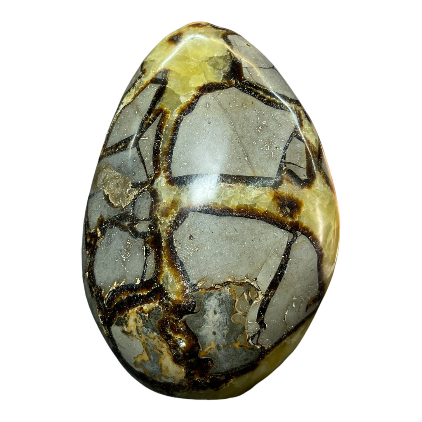 Septerian Agate