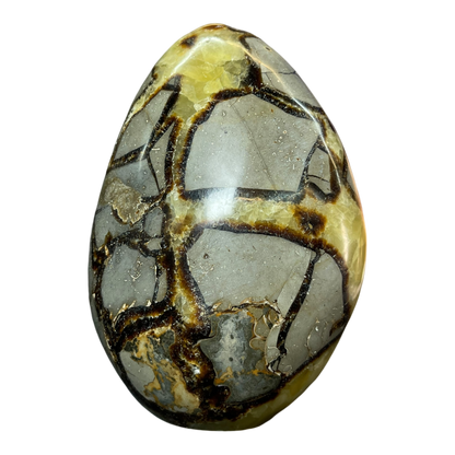 Septerian Agate
