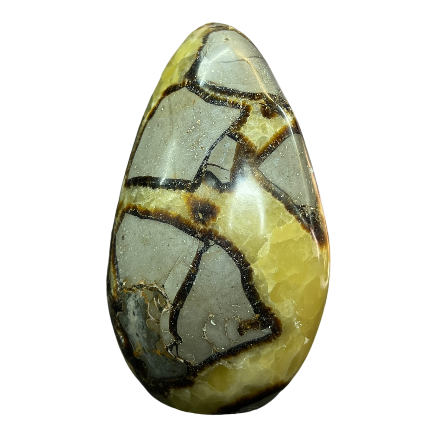 Septerian Agate