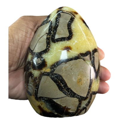 Septerian Agate