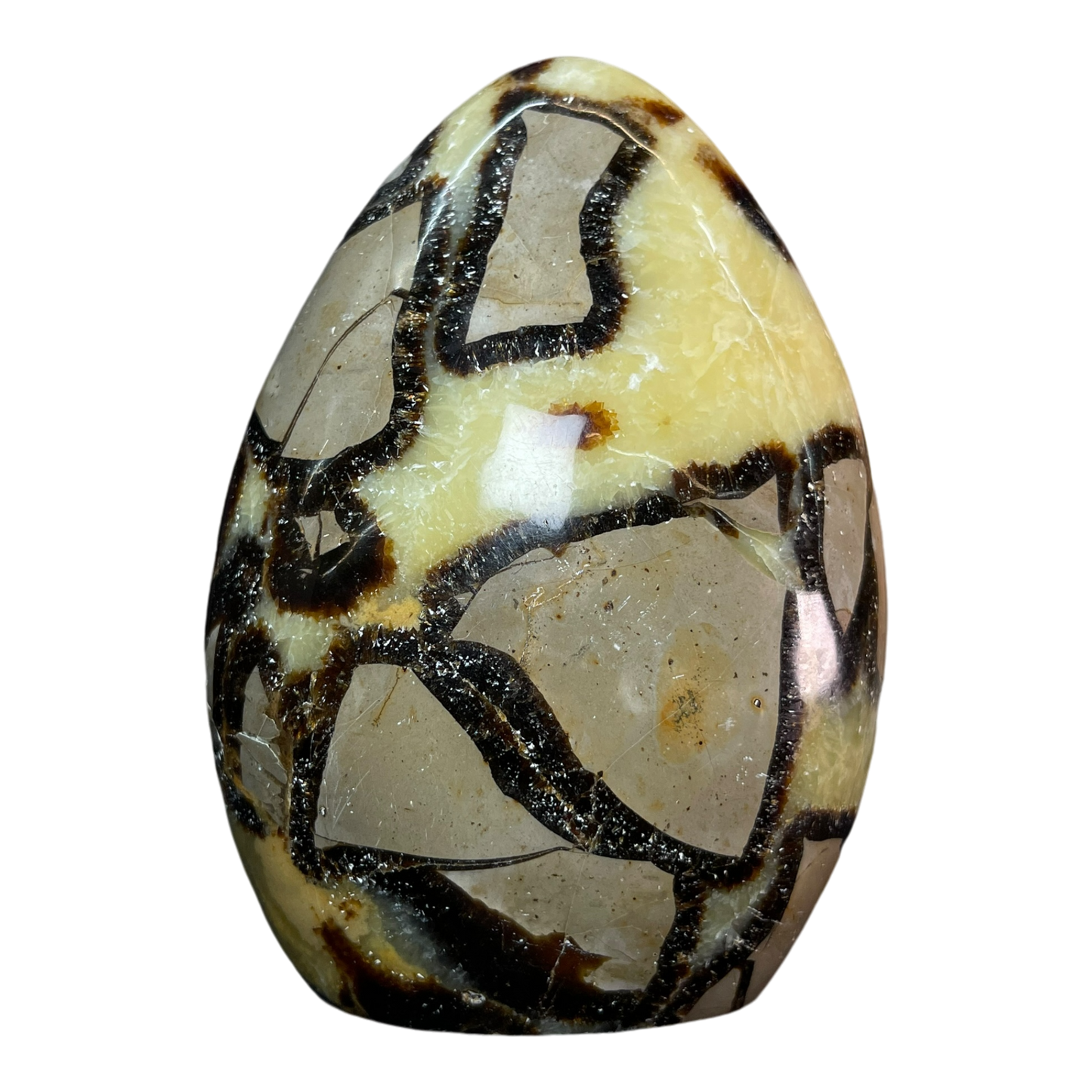 Septerian Agate