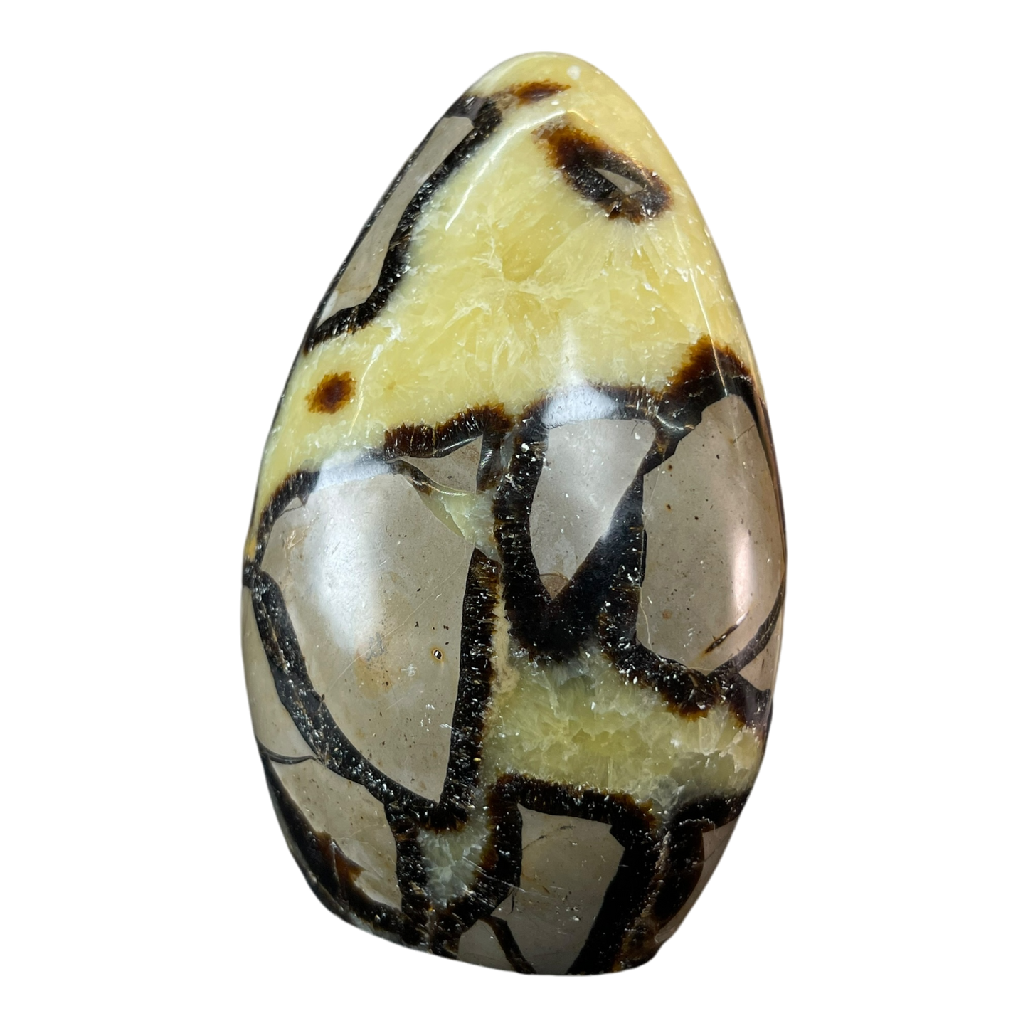 Septerian Agate