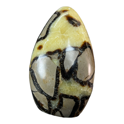 Septerian Agate