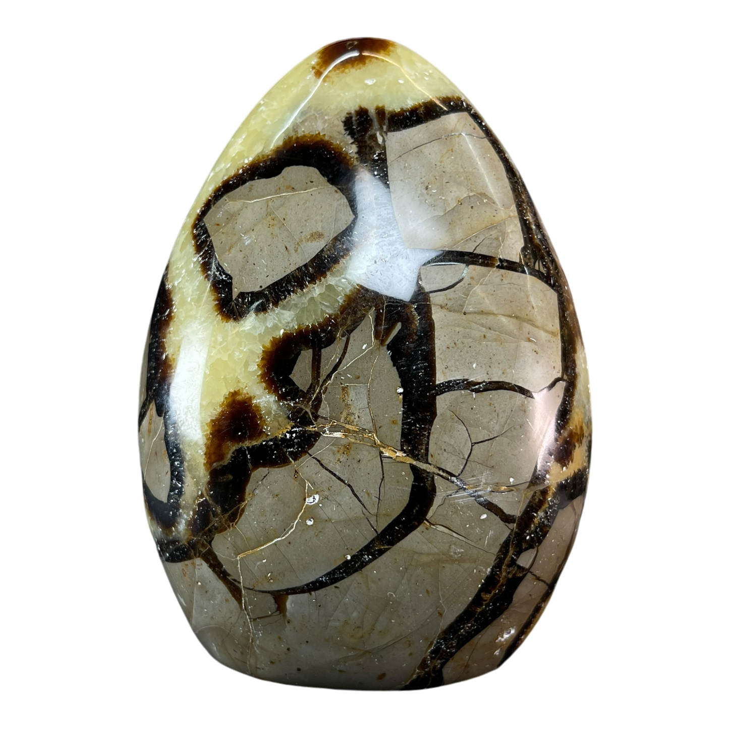 Septerian Agate