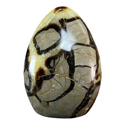 Septerian Agate