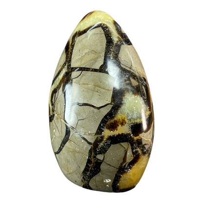 Septerian Agate