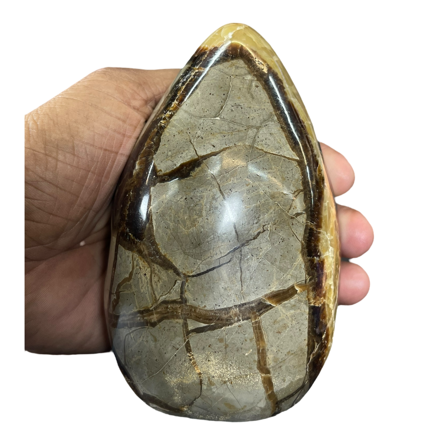 Septerian Agate