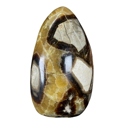 Septerian Agate