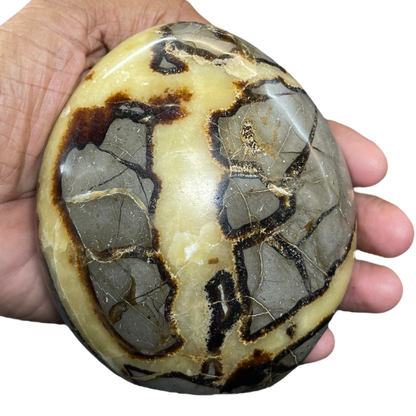 Septerian Agate