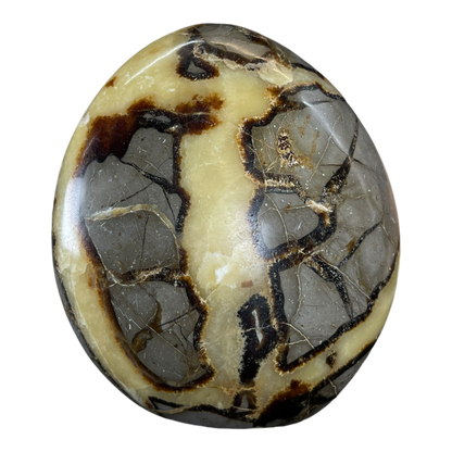 Septerian Agate