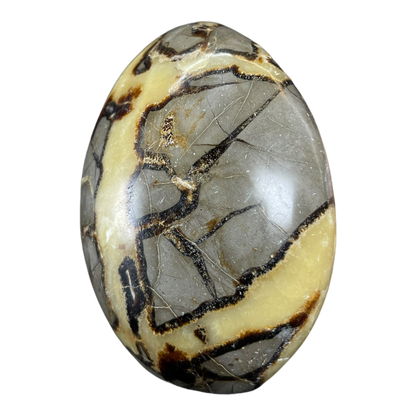 Septerian Agate