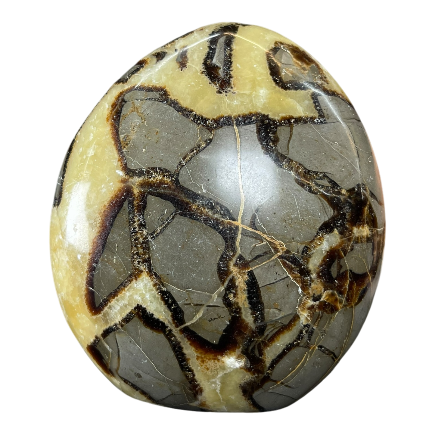 Septerian Agate
