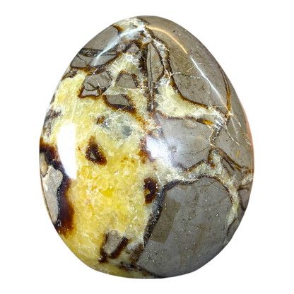 Septerian Agate