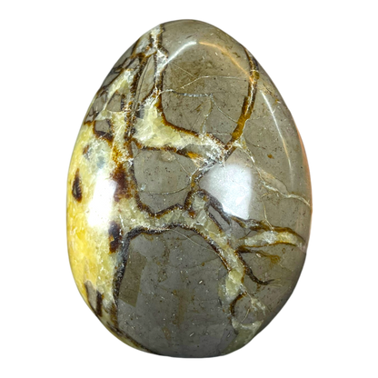 Septerian Agate