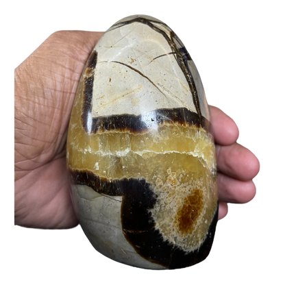 Septerian Agate