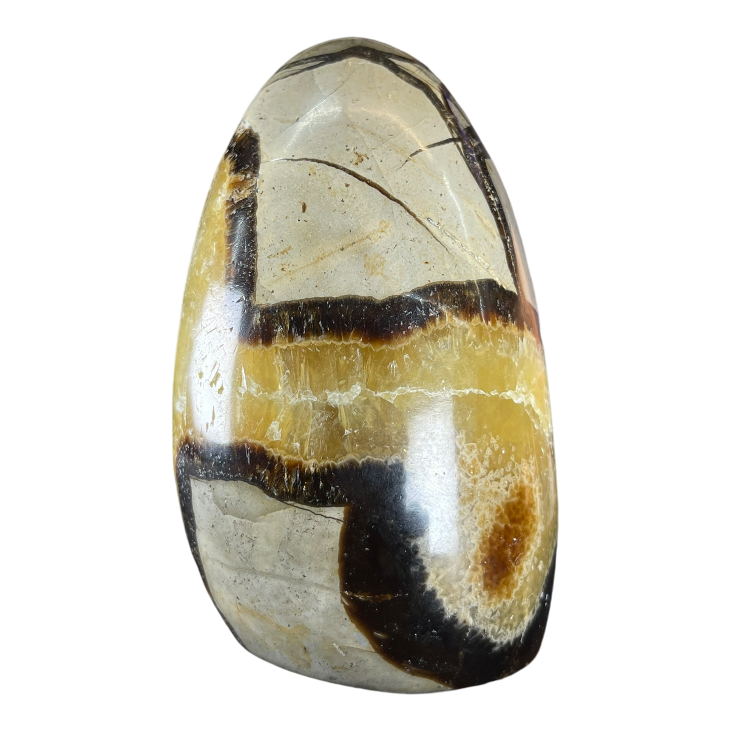 Septerian Agate