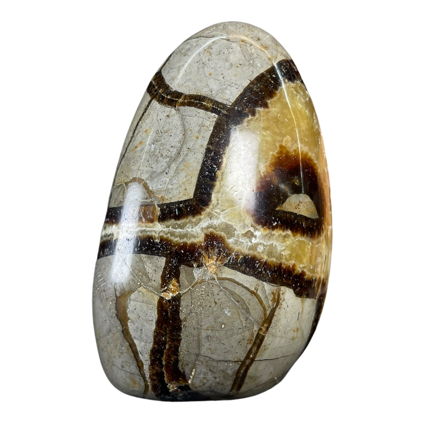 Septerian Agate