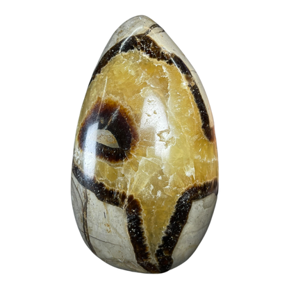 Septerian Agate