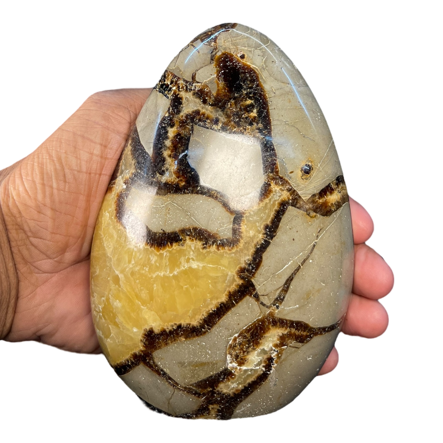 Septerian Agate