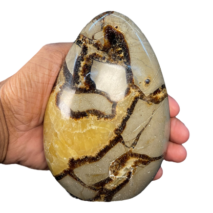 Septerian Agate