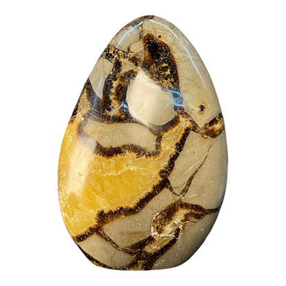 Septerian Agate