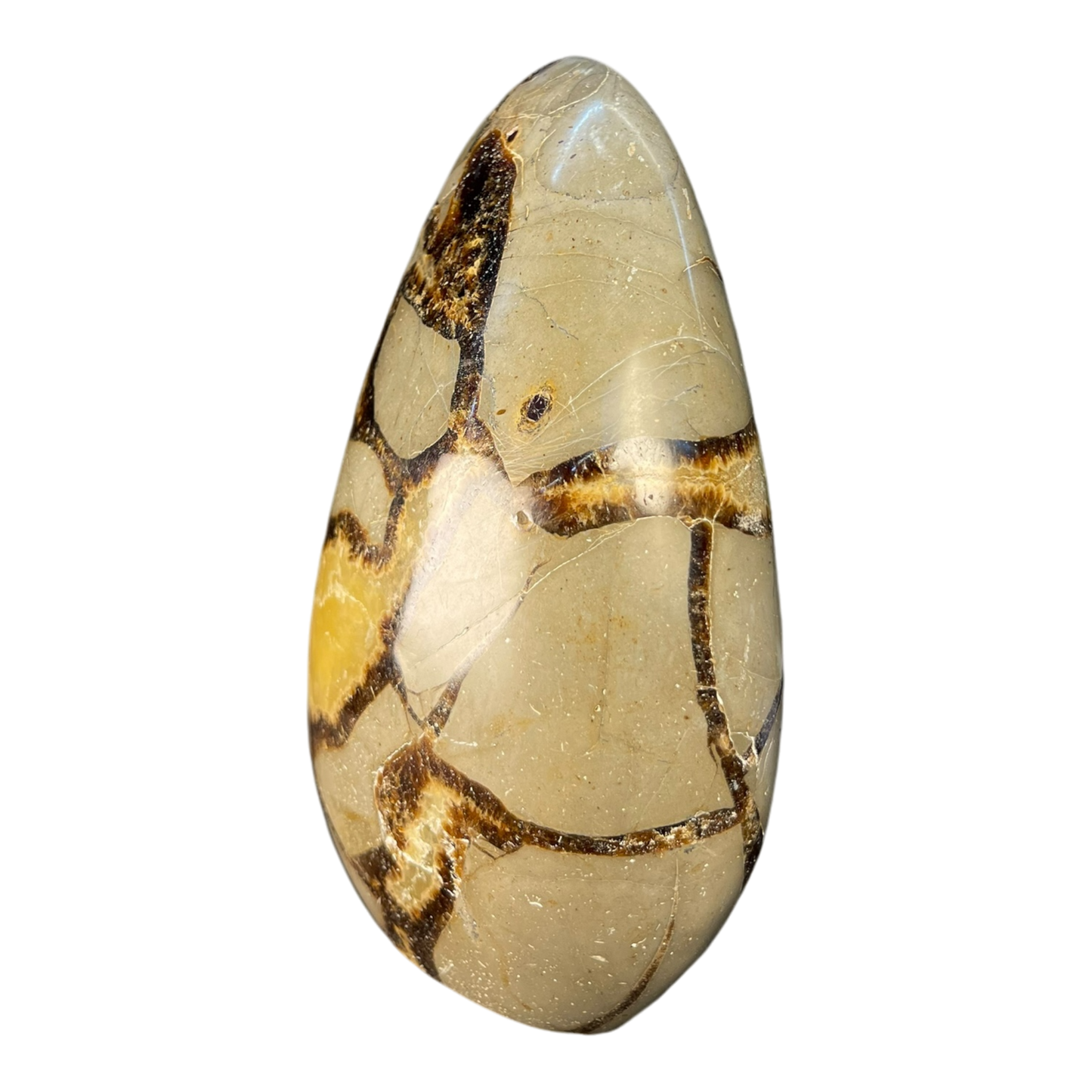 Septerian Agate