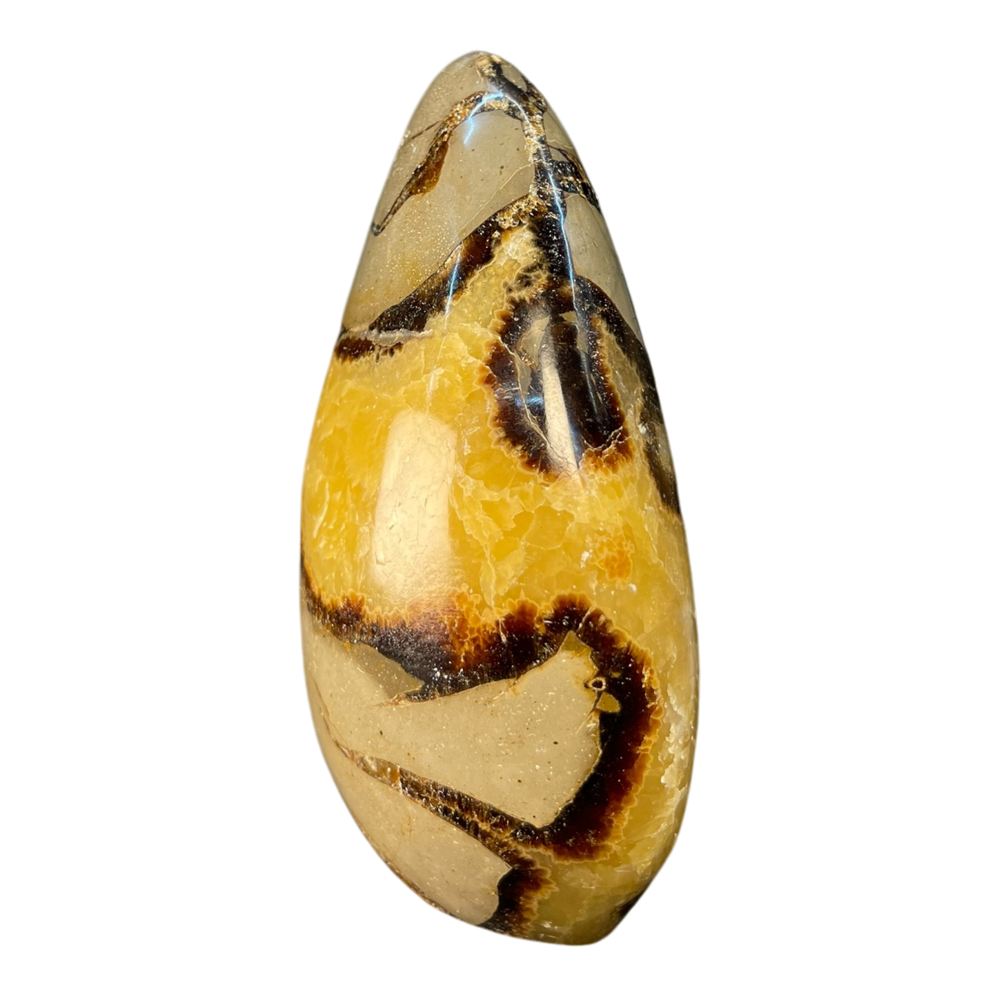 Septerian Agate