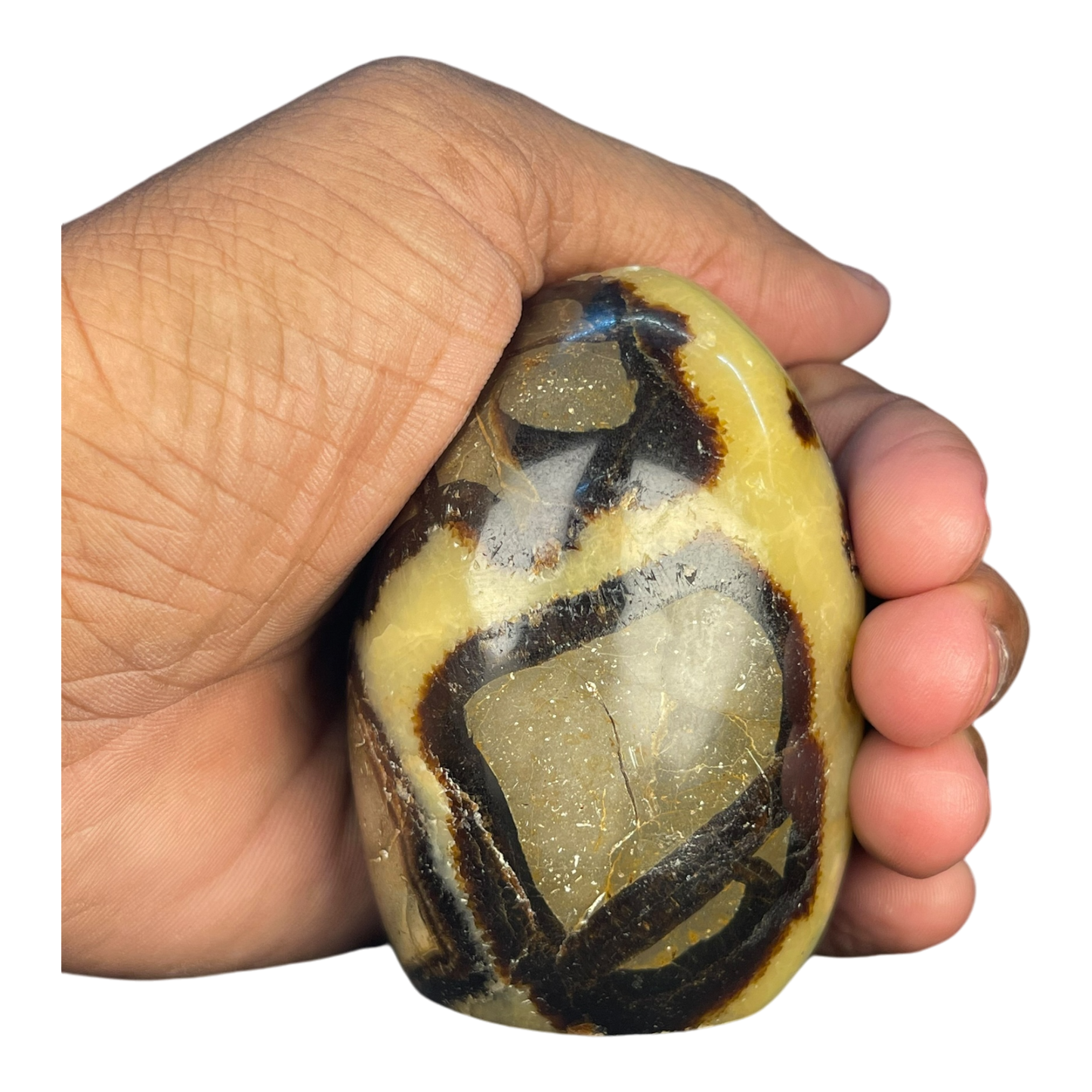 Septerian Agate