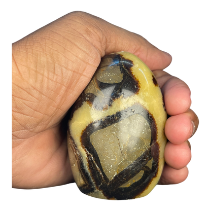 Septerian Agate