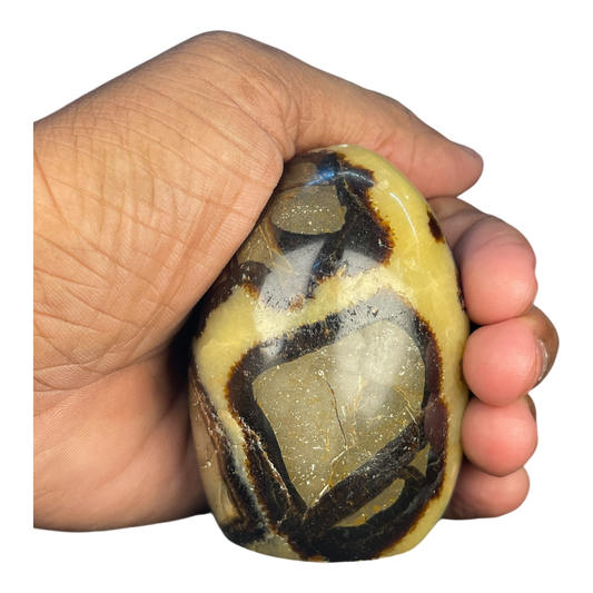Septerian Agate