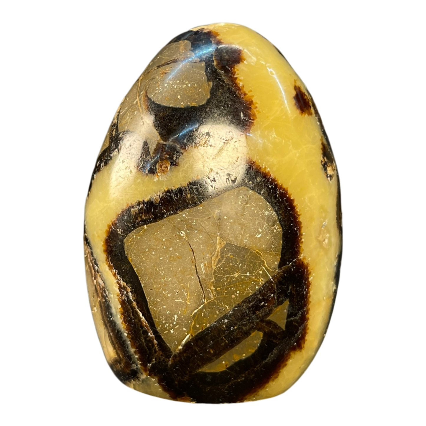 Septerian Agate