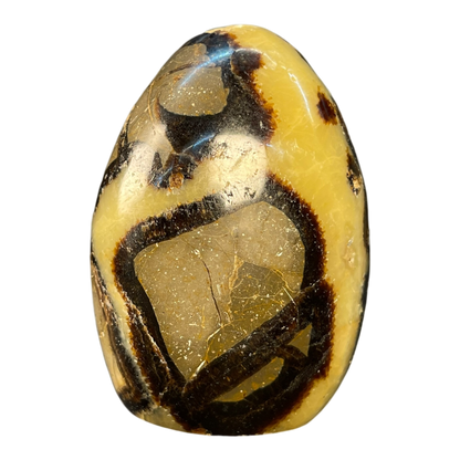 Septerian Agate