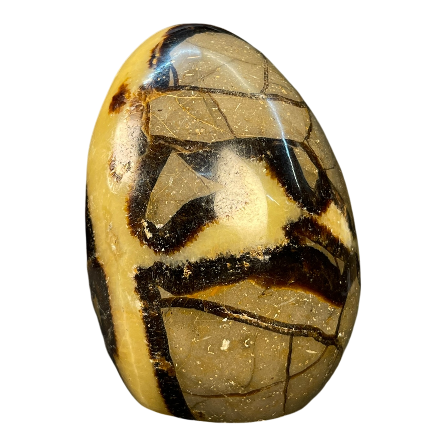 Septerian Agate