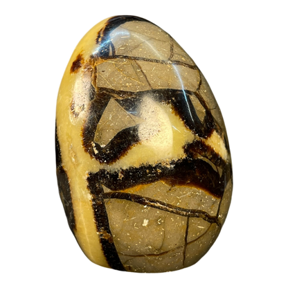 Septerian Agate