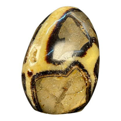 Septerian Agate