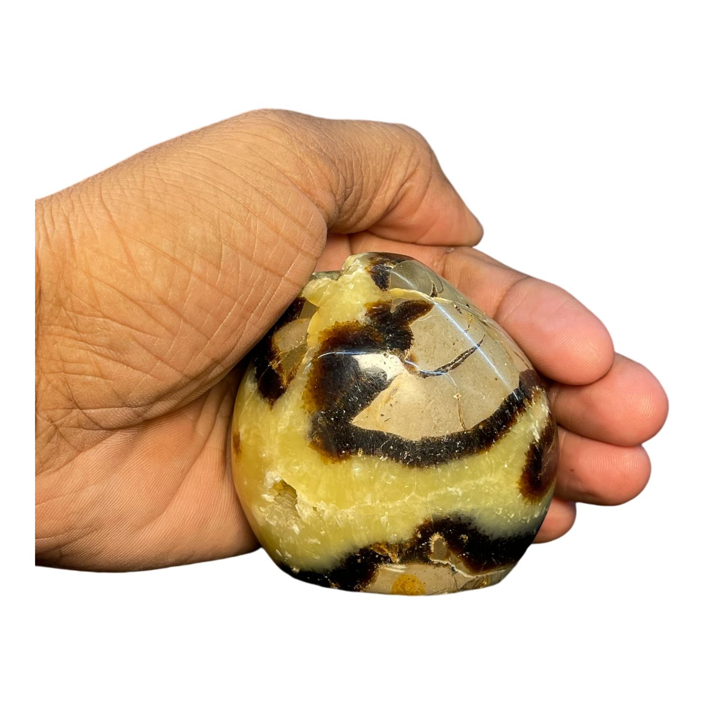 Septerian Agate