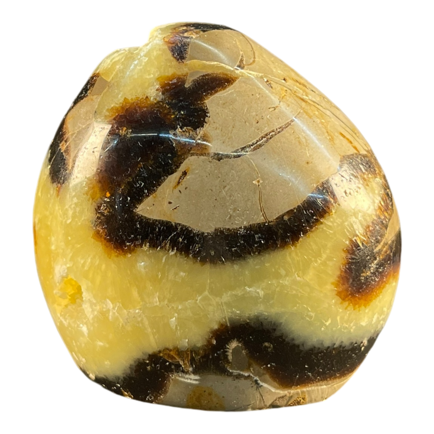 Septerian Agate