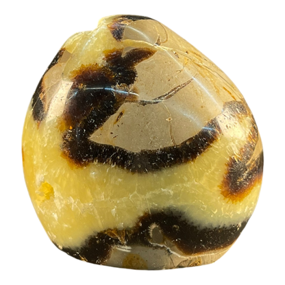 Septerian Agate