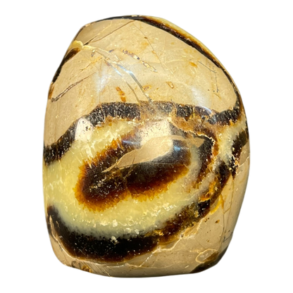 Septerian Agate