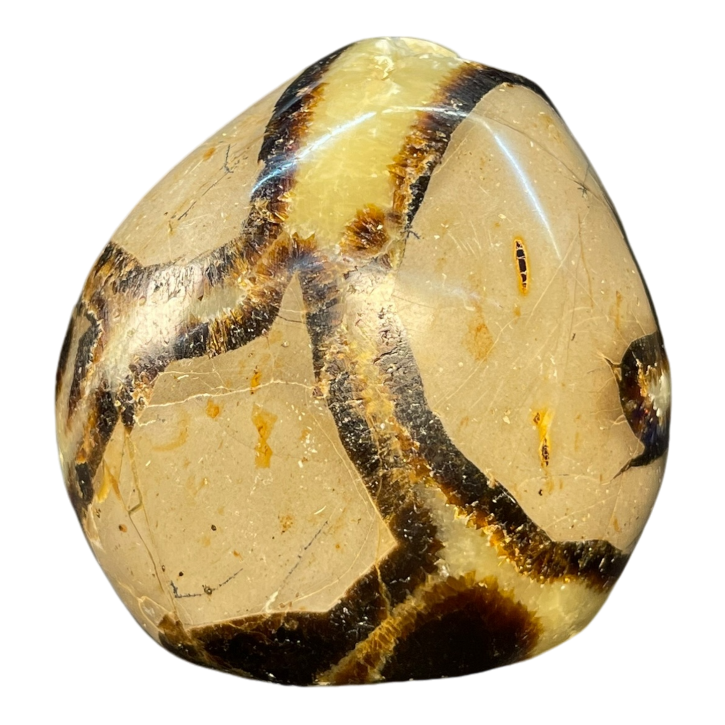 Septerian Agate