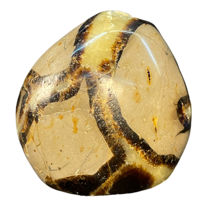 Septerian Agate