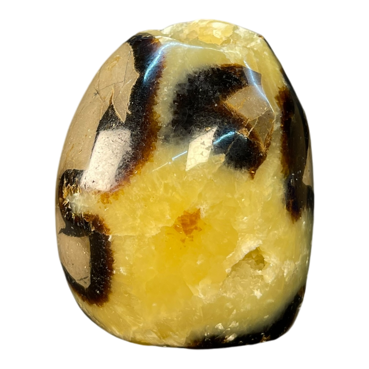 Septerian Agate