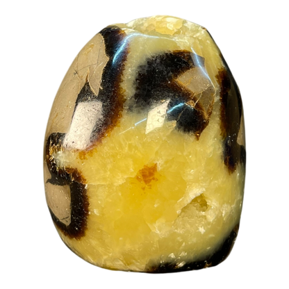Septerian Agate
