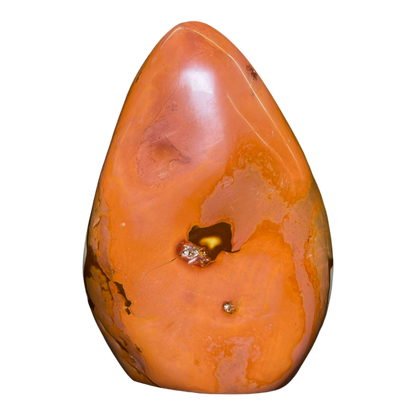 Polychrome Jasper