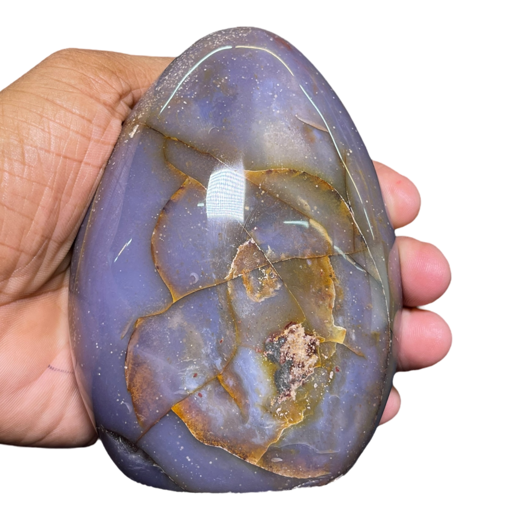 Polychrome Jasper