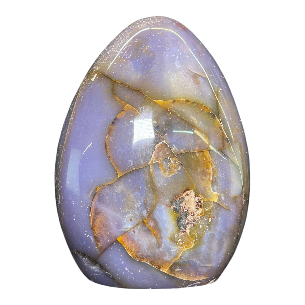 Polychrome Jasper