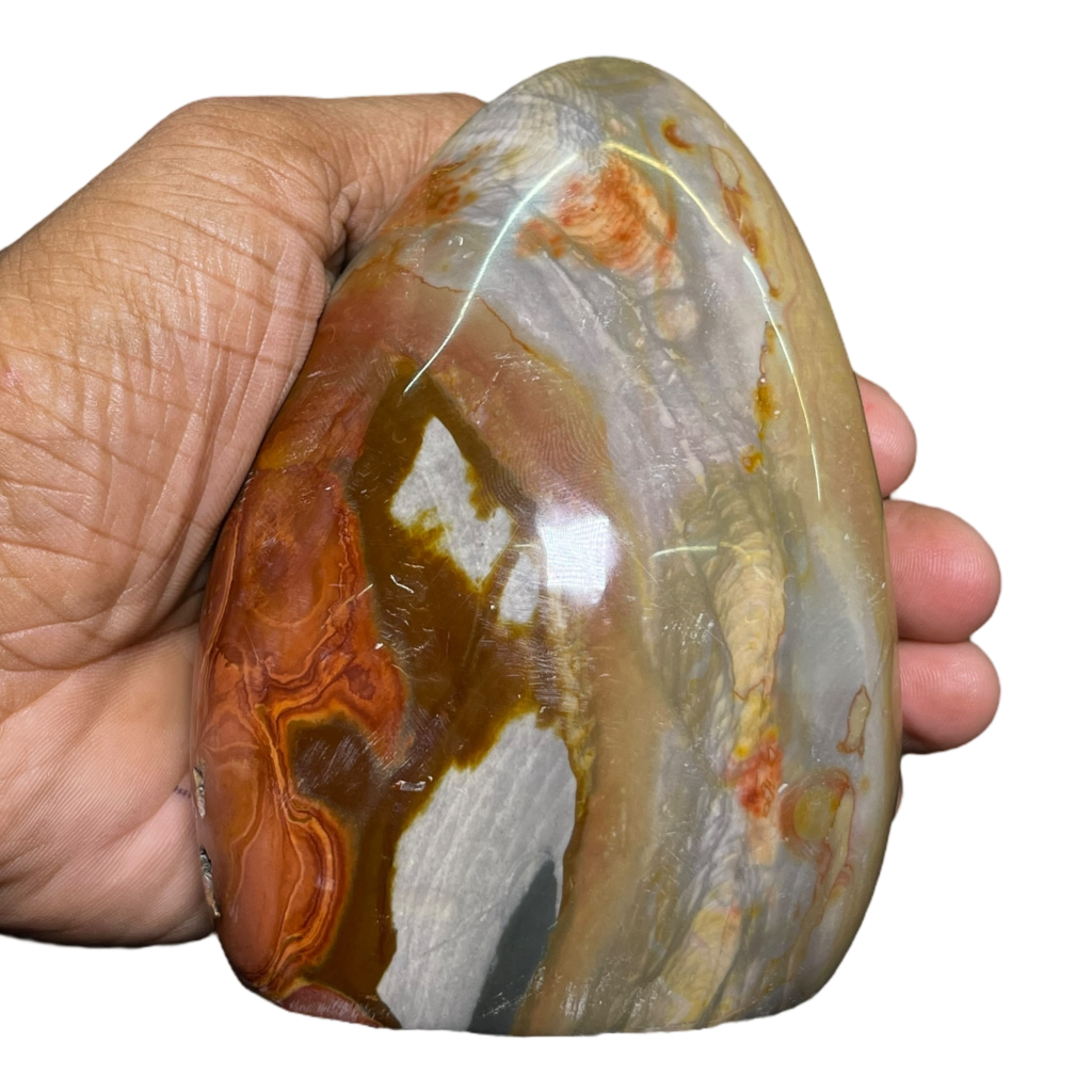 Polychrome Jasper