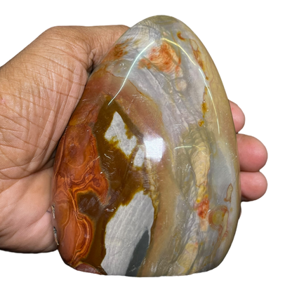 Polychrome Jasper
